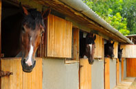 free Llangynhafal stable construction quotes
