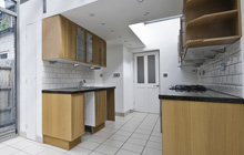 Llangynhafal kitchen extension leads